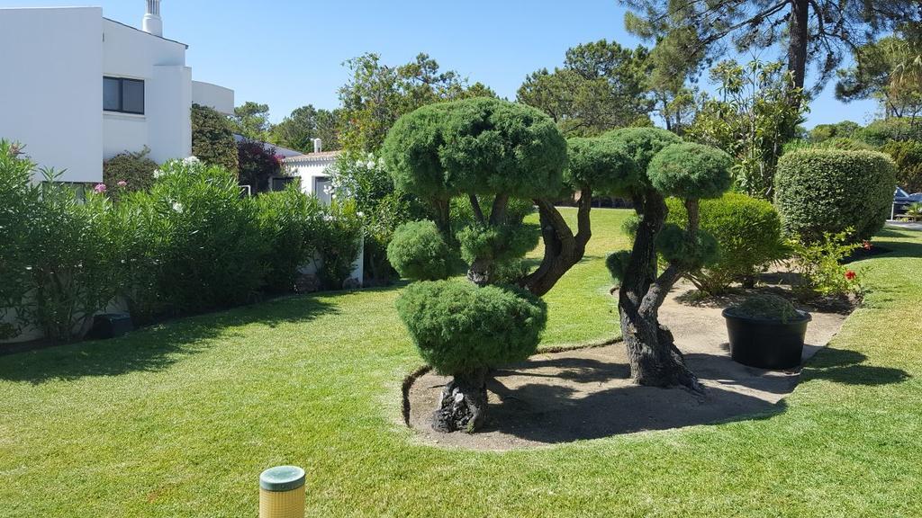 Victory Village Club, קינטה דו לאגו מראה חיצוני תמונה